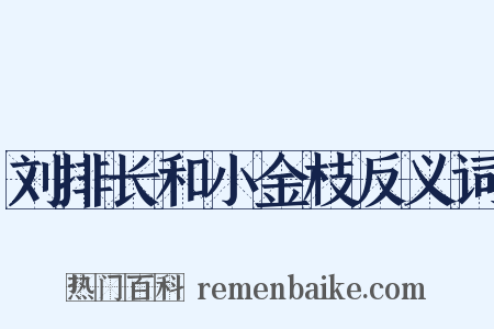 刘排长和小金枝反义词是什么意思的图片